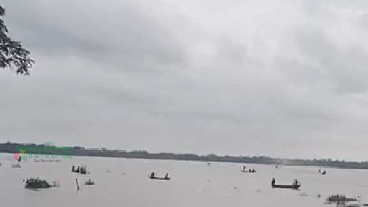 নিষেধাজ্ঞা অমান্য করে ‘মা’ ইলিশ নিধনের মহোৎসব