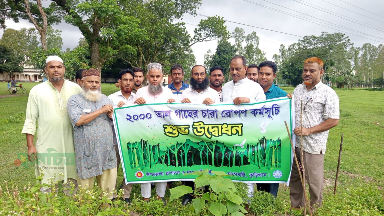 নাগেশ্বরীতে বজ্রপাতের ঝুঁকি কমাতে দুই হাজার তালগাছ রোপণের উদ্যোগ